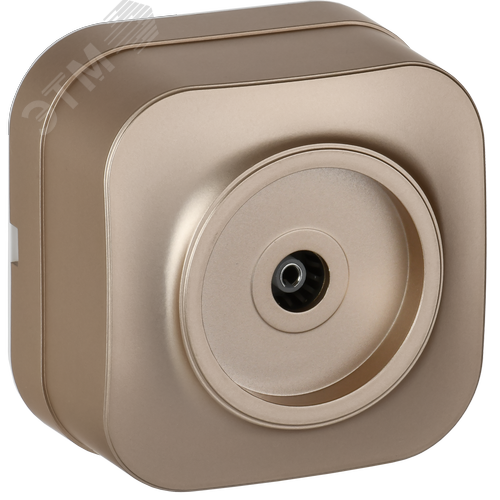 Изображение товара GLORY Розетка для открытой установки TV РТВ20-ХШм шампань матовый IEK (шт)