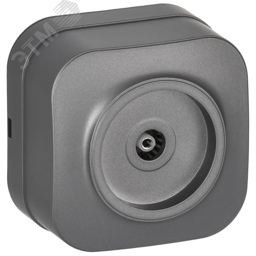 Изображение товара GLORY Розетка для открытой установки TV РТВ20-ХСм сталь матовый IEK (шт)