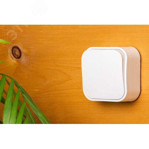 Выключатель 1-клавишный для открытой установки 10Абелый QUTEO - фото 6