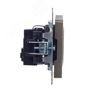 BRITE Розетка с заземлением без защитных шторок 16А РС11-1-0-БрШ шампань - фото 3