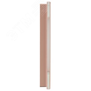 BRITE Рамка 2 поста РУ-2-2-БрП стекло персиковый матовый IEK - фото 4