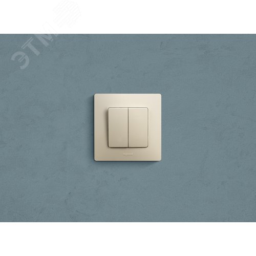 Выключатель 2-клавишный 10А безвинтовое крепление слоновая кость ETIKA - фото 5