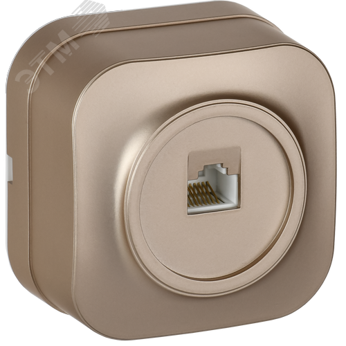 GLORY Розетка для открытой установки компьютерная RJ45 кат.5E РК10-ХШм шампань матовый IEK - фото 1