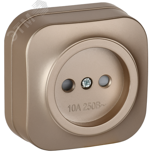 GLORY Розетка 1-местная для открытой установки без заземления с защитными шторками 10А РСш20-2-ХШм шампань матовый IEK - фото 1