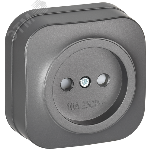 GLORY Розетка 1-местная для открытой установки без заземления с защитными шторками 10А РСш20-2-ХСм сталь матовый IEK - фото 1