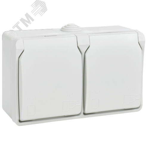 FORS Розетка 2-местная с заземлением для открытой установки 16А IP54 РСб22-3-ФБ белый ФОРС - фото 1