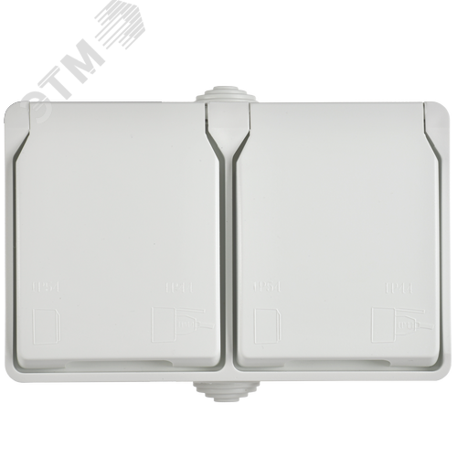 FORS Розетка 2-местная с заземлением для открытой установки 16А IP54 РСб22-3-ФБ белый ФОРС - фото 2