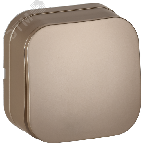 GLORY Выключатель 1-клавишный для открытой установки 10А ВС20-1-0-ХШм шампань матовый IEK - фото 1