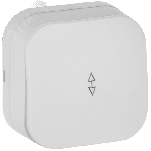 GLORY Выключатель 1-клавишный для открытой установки проходной 10А ВСп10-1-0-ХБм белый матовый IEK - фото 1