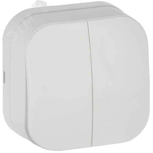 GLORY Выключатель 2-клавишный для открытой установки 10А ВС20-2-0-ХБм белый матовый IEK - фото 1