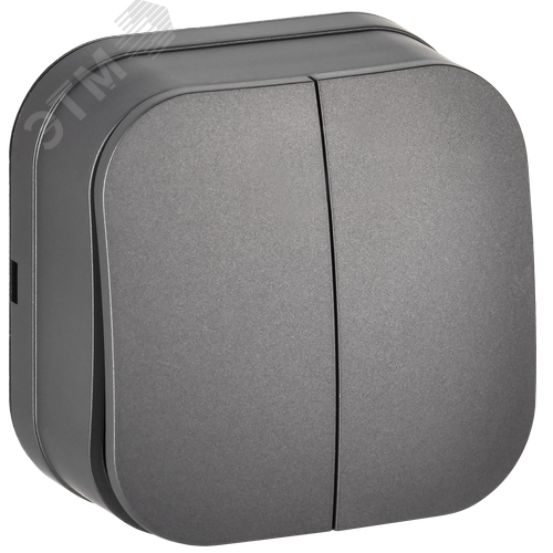 GLORY Выключатель 2-клавишный для открытой установки 10А ВС20-2-0-ХСм сталь матовый IEK - фото 1