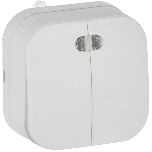 GLORY Выключатель 2-клавишный для открытой установки с индикацией 10А ВС20-2-1-ХБм белый матовый IEK - фото 1