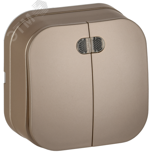 GLORY Выключатель 2-клавишный для открытой установки с индикацией 10А ВС20-2-1-ХШм шампань матовый IEK - фото 1