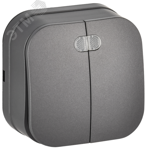 GLORY Выключатель 2-клавишный для открытой установки с индикацией 10А ВС20-2-1-ХСм сталь матовый IEK - фото 1