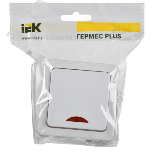 Гермес PLUS Выключатель одноклавишный ВС20-1-1-ГПБ наружный IP54 - фото 2