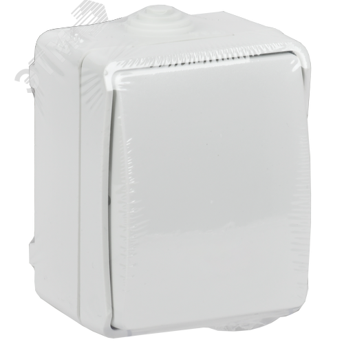 FORS Выключатель кнопочный для открытой установки 10А IP54 ВСк20-1-0-ФБ белый - фото 6