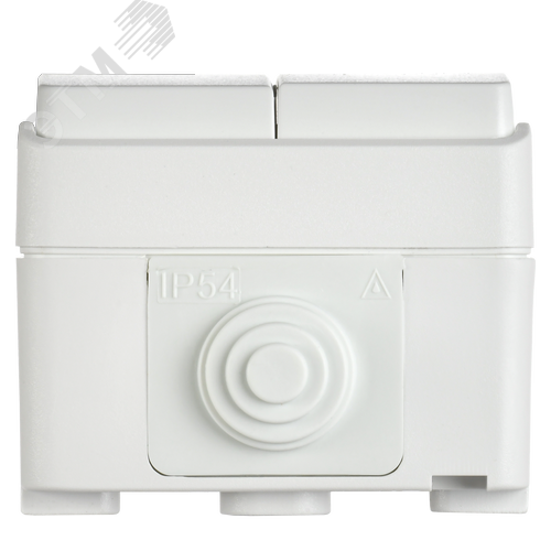 FORS Выключатель 2-клавишный для открытой установки 10А IP54 ВС20-2-0-ФБ белый ФОРС - фото 5