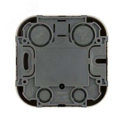 Розетка для открытой установки TV тип звезда слоновая кость QUTEO - фото 3