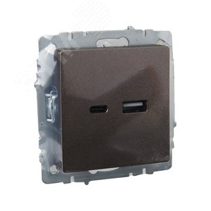 BRITE Розетка USB A+C 18Вт РЮ11-1-БрТБ темная бронза - фото 6