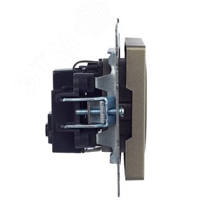 BRITE Розетка с заземлением с защитными шторками 16А РС14-1-0-БрШ шампань - фото 3