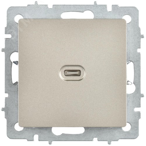 BRITE Розетка USB C 65Вт высокоскоростная зарядка РЮ12-1-БрШ шампань IEK - фото 6