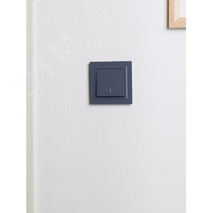 BRITE Рамка 1 пост РУ-1-БрМ маренго - фото 6