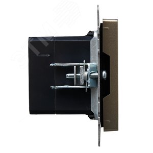 BRITE Розетка USB A+C 18Вт РЮ11-1-БрШ шампань - фото 3