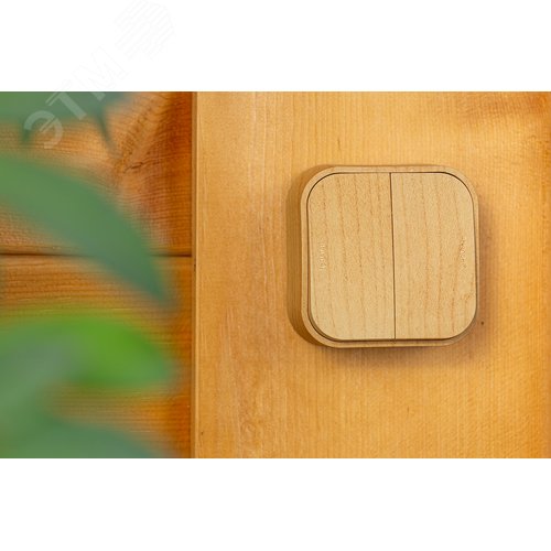 Выключатель 2-клавишный для открытой установки 10А дерево QUTEO - фото 4