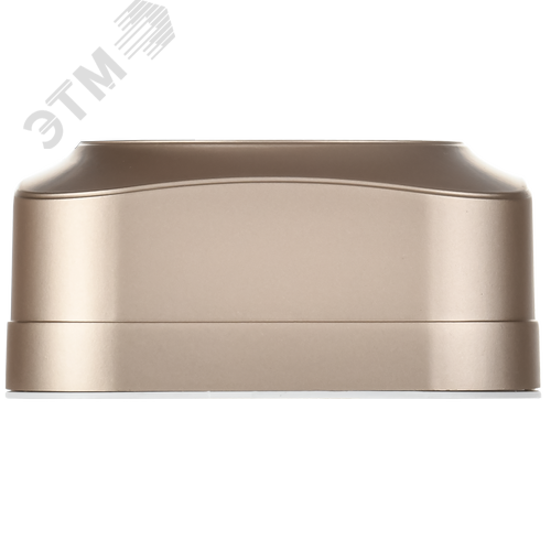 GLORY Розетка 4-местная для открытой установки без заземления без защитных шторок 10А РС24-2-ХШм шампань матовый IEK - фото 3