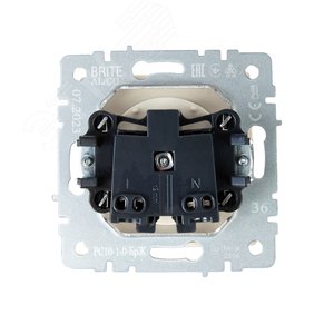 BRITE Розетка без заземления без защитных шторок 10А РС10-1-0-БрЖ жемчуг - фото 4