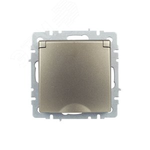 BRITE Розетка с заземлением с защитными шторками и крышкой 16А IP20 РСбш10-3-БрШ шампань - фото 5