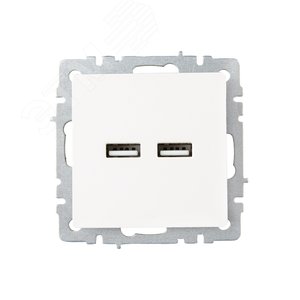 BRITE Розетка USB A+A 5В 3,1А РЮ10-1-БрЖ жемчуг - фото 2