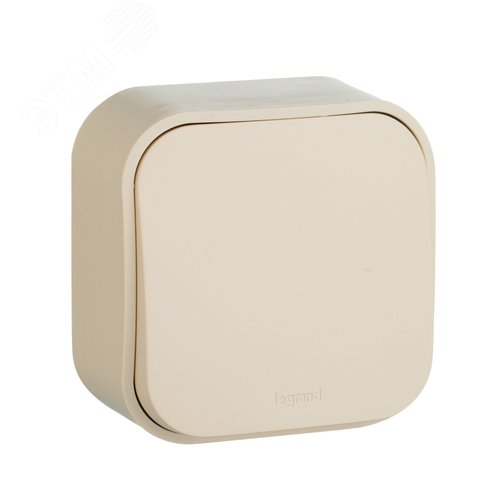 Изображение товара Выключатель 1-клавишный для открытой установки самовозвартный 6А безвинтовое крепление слоновая кость QUTEO (шт)