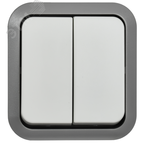 TORS Выключатель двухклавишный проходной 10А IP55 TS225 сер-бел IEK - фото 5