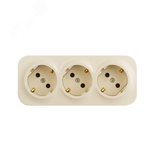 Розетка 3-местная для открытой установки с заземлением с защитными шторками с предварительным подключением 16А слоновая кость QUTEO - фото 3