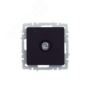 BRITE Розетка TV проходная РТВ10-0-БрЧ черный - фото 2