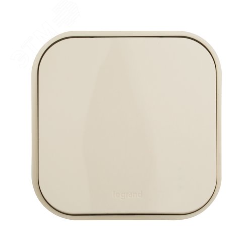 Выключатель 1-клавишный для открытой установки слоновая кость QUTEO - фото 4