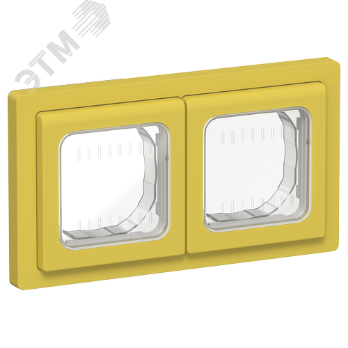Изображение товара FLITE Рамка 2-местная IP55 Рпро-2-55-ФлЖК желтый карри IEK (шт)