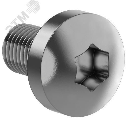Изображение товара FORMAT Винт М6х10 самонарезающий полукруглая головка шестирадиусный шлиц TORX30 DIN 7500С (500шт/упак) IEK (упак)
