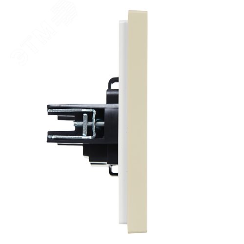 FORTE&PIANO Розетка 1-местная без заземления без защитных шторок винтовое крепление 10А FP418 ваниль IEK - фото 4