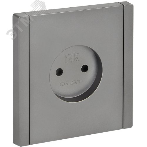 FORTE&PIANO Розетка 1-местная без заземления без защитных шторок винтовое крепление 10А FP518 сталь IEK - фото 1