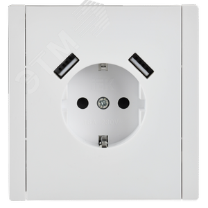 FORTE&PIANO Розетка 1-местная с заземлением с защитными шторками винтовое крепление 16А USB A+A 3,1А FP245 белый IEK - фото 2