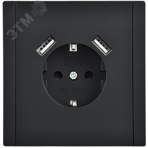 FORTE&PIANO Розетка 1-местная с заземлением с защитными шторками винтовое крепление 16А USB A+A 3,1А FP145 черный IEK - фото 2