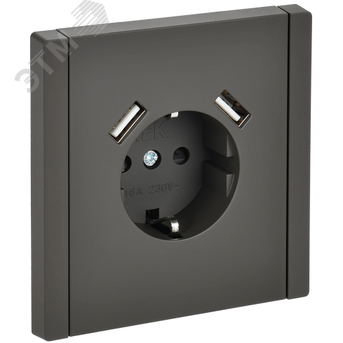 FORTE&PIANO Розетка 1-местная с заземлением с защитными шторками винтовое крепление 16А USB A+A 3,1А FP345 серый IEK - фото 1