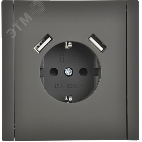 FORTE&PIANO Розетка 1-местная с заземлением с защитными шторками винтовое крепление 16А USB A+A 3,1А FP345 серый IEK - фото 2
