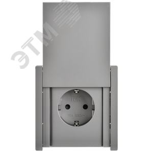 FORTE&PIANO Розетка 1-местная с заземлением с защитными шторками и крышкой винтовое крепление 16А IP44 FP521 сталь IEK - фото 2