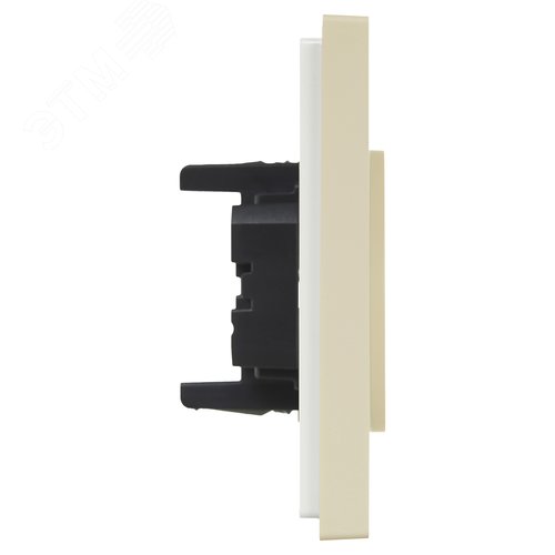 FORTE&PIANO Розетка 2-местная без заземления без защитных шторок безвинтовое крепление 10А FP426 ваниль IEK - фото 4