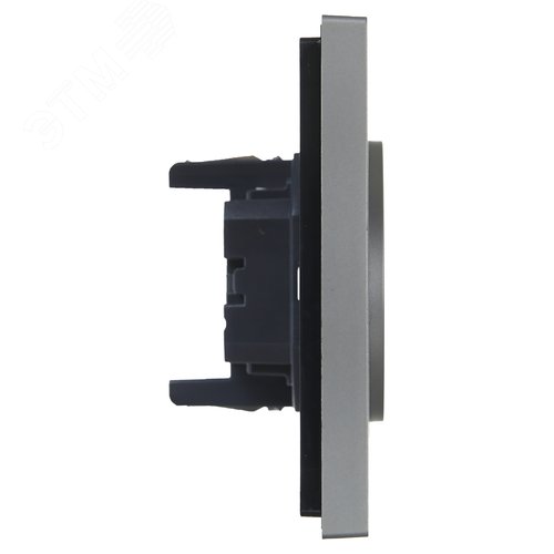 FORTE&PIANO Розетка 2-местная без заземления без защитных шторок безвинтовое крепление 10А FP526 сталь IEK - фото 4