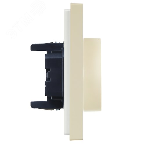 FORTE&PIANO Розетка 2-местная с заземлением без защитных шторок безвинтовое крепление 16А FP424 ваниль IEK - фото 4