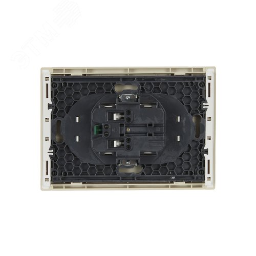 FORTE&PIANO Розетка 2-местная с заземлением с защитными шторками безвинтовое крепление 16А FP423 ваниль IEK - фото 3